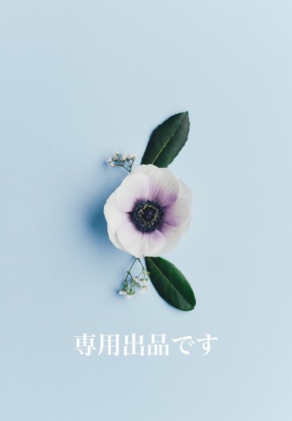 画像1: UY様専用ページ (1)