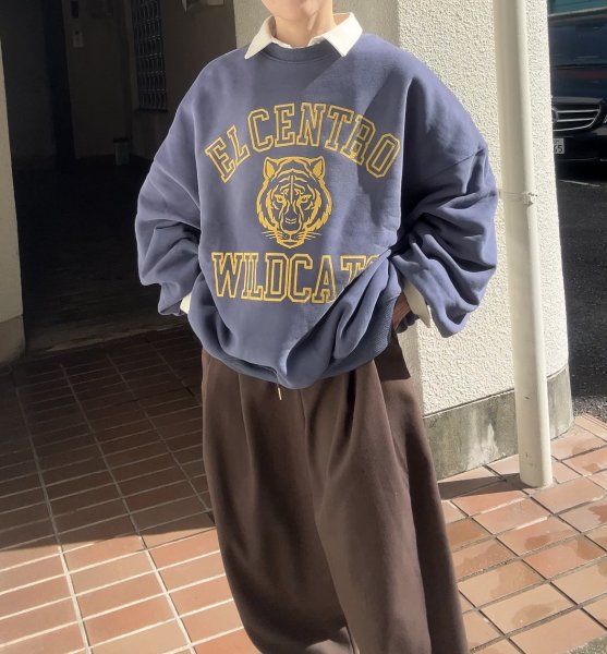 画像1: TASHIKENT 虎ビッグスウェット (1)